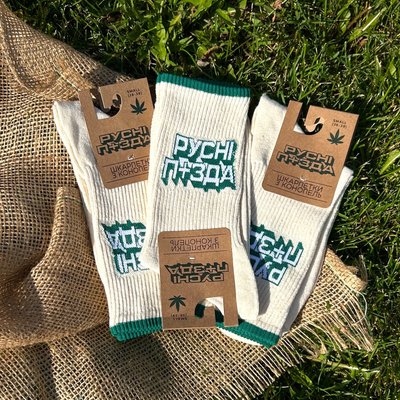 Demi-season hemp socks "rusni p+zda" — 3 pairs, 41-46 555-06-101k фото